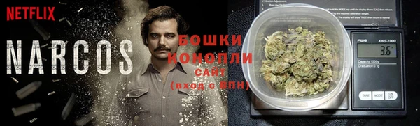 мяу мяу мука Гусев