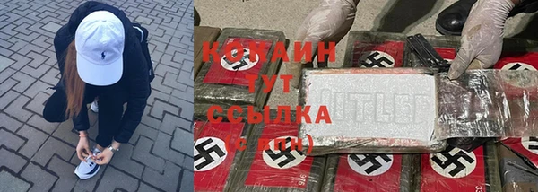 МДПВ Липки