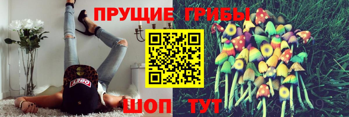 Галлюциногенные грибы GOLDEN TEACHER Губкин