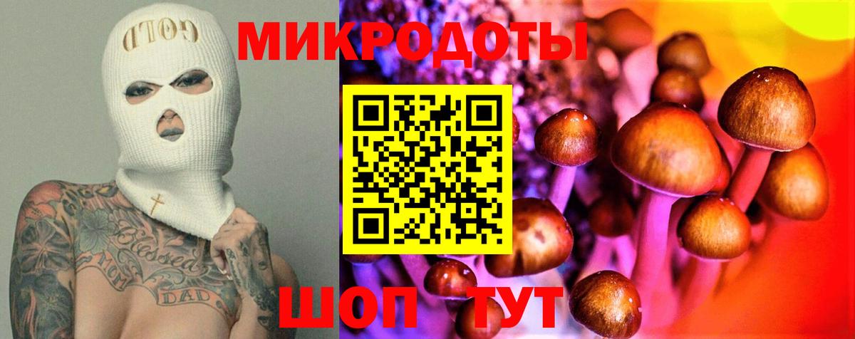 Псилоцибиновые грибы Psilocybine cubensis  Галлюциногенные грибы Magic Shrooms  Губкин  Вход с VPN 