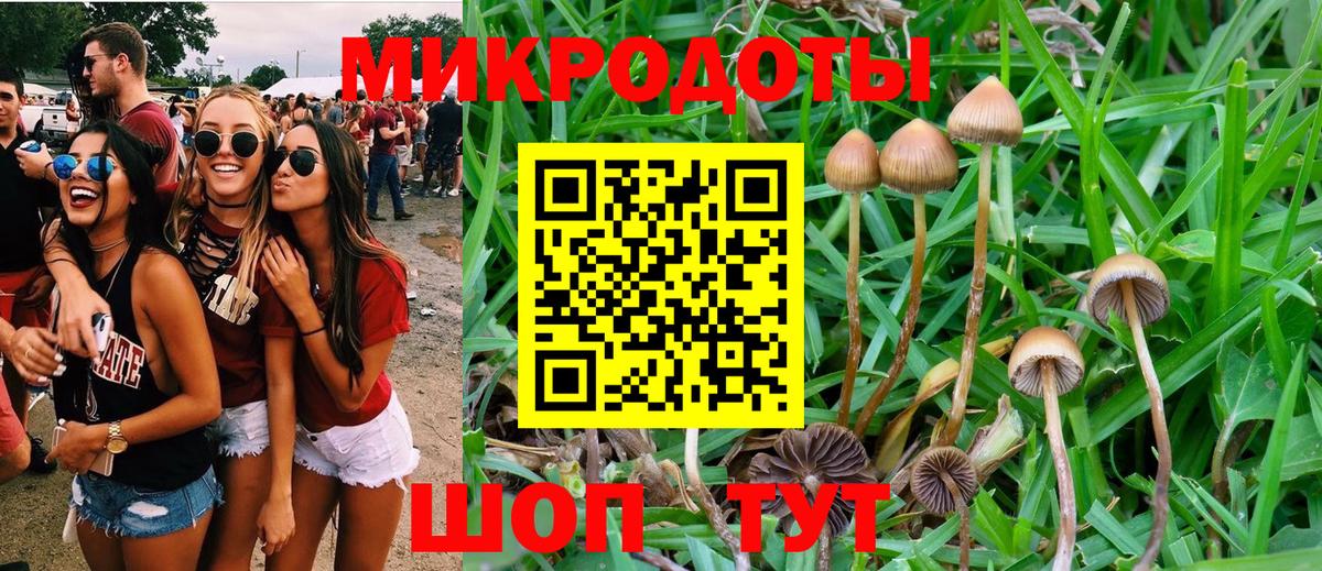 Галлюциногенные грибы Psilocybine cubensis  Губкин  Галлюциногенные грибы Magic Shrooms 